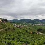 Bbconegliano Borlini *