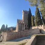 Bbconegliano Borlini Conegliano