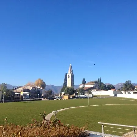 Bbconegliano Borlini