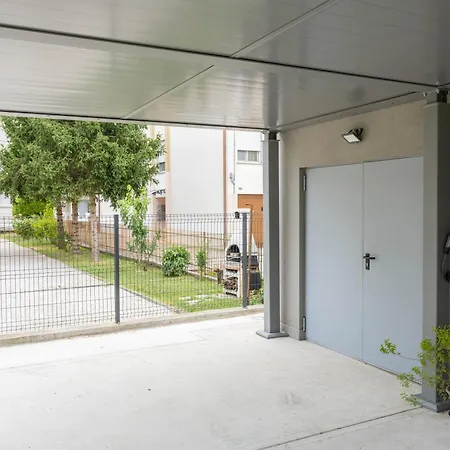 Bbconegliano Borlini *