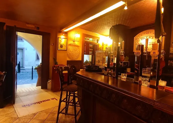 Bbconegliano Borlini *