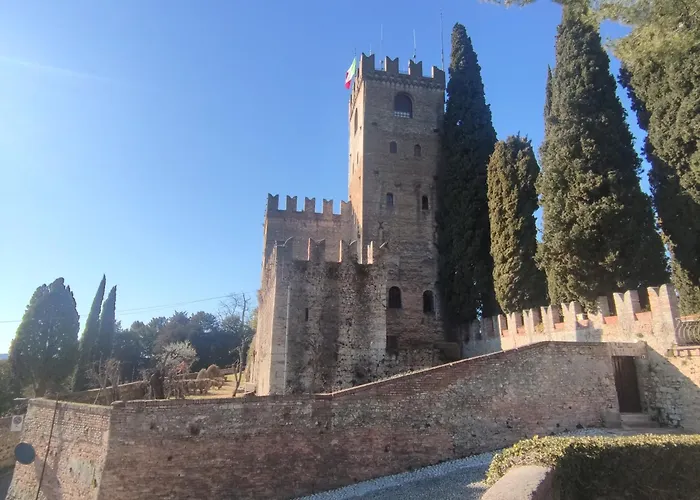 Bbconegliano Borlini Conegliano