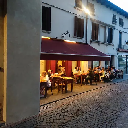 Bbconegliano Borlini