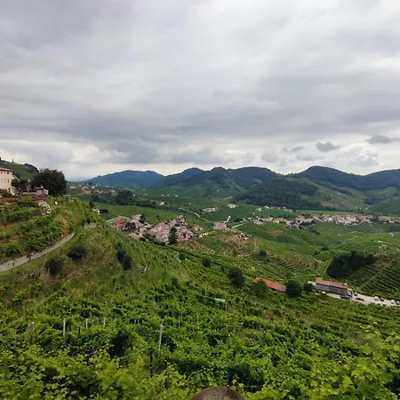 Bbconegliano Borlini *