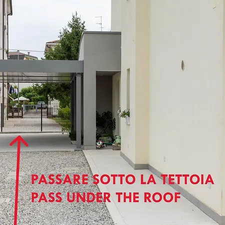 Bbconegliano Borlini * Conegliano