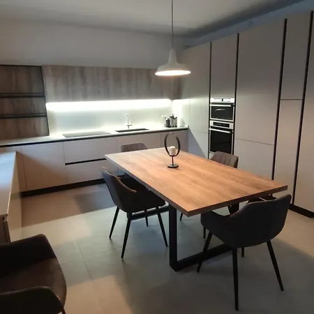 Bbconegliano Borlini Проживание в семье *